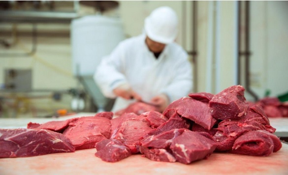 Polish bad meat sold to dozen EU countries