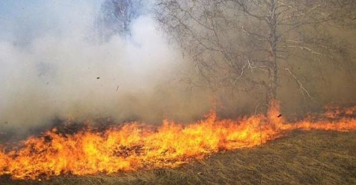 Fires in Pijanec-Malesevo region under control