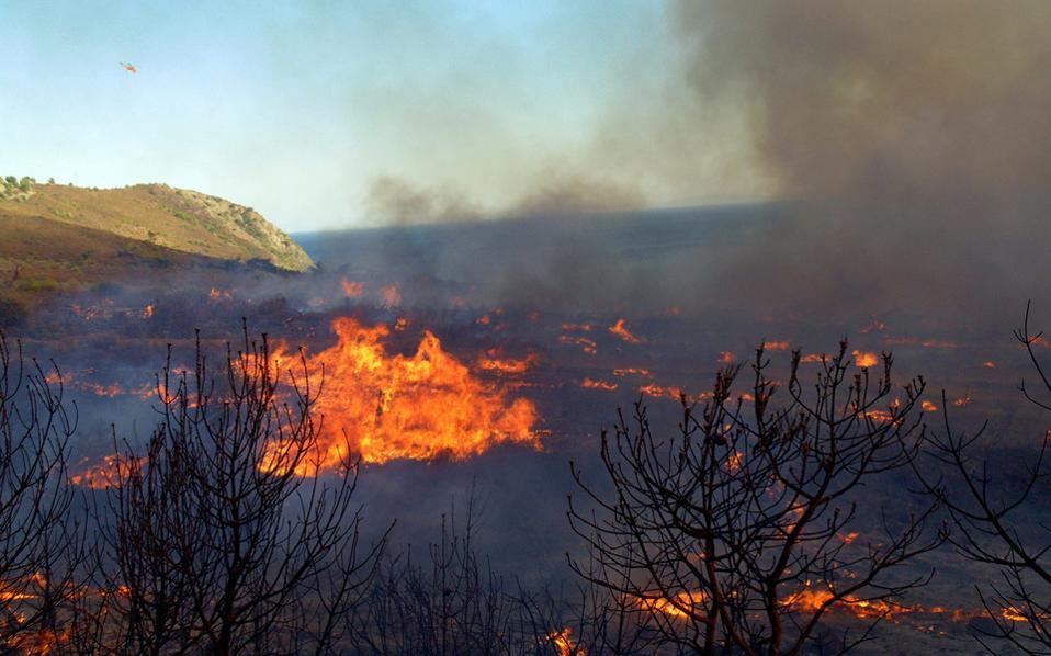 Forest fires continue to rage across Macedonia