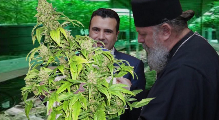 Novosti: Serbian mobsters are entering the legalized marijuana business in Macedonia