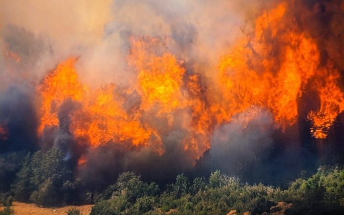 Devastating video of the Veles fire