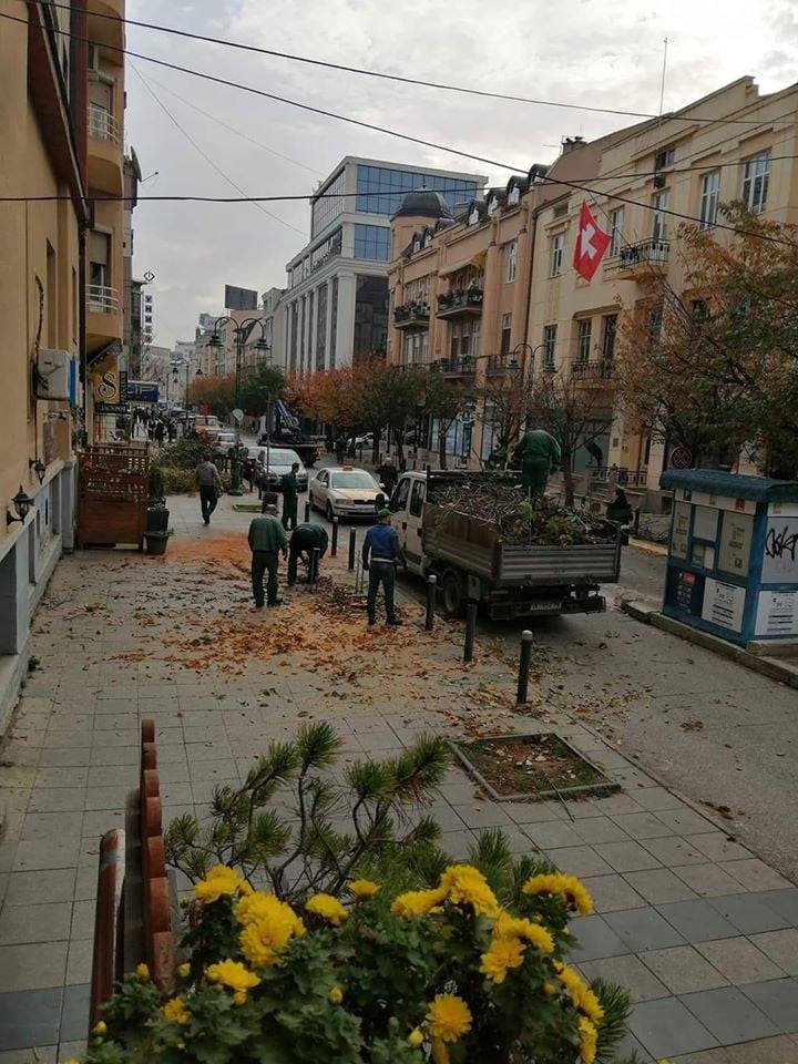 City of Skopje chops down the beloved cherry trees along Maxim Gorki street