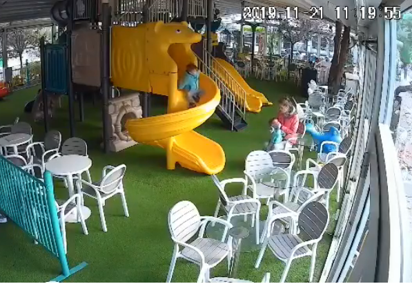 Nanny detained after video shows her beating a child in a Skopje restaurant