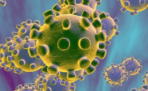 Coronavirus: First case confirmed in mainland Spain as virus outbreak reported across Europe