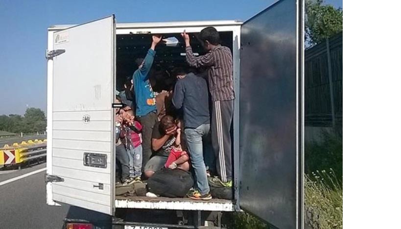 Fourteen migrants from Afghanistan and Syria stopped north of Gevgelija