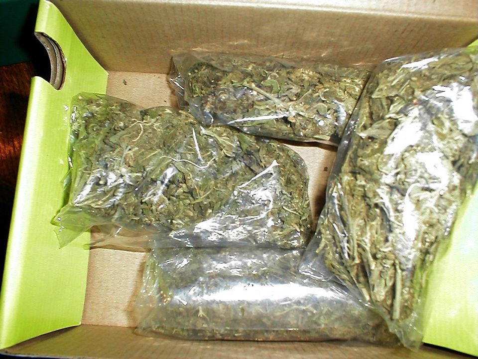 Transport of marijuana and hashish intercepted near Prilep