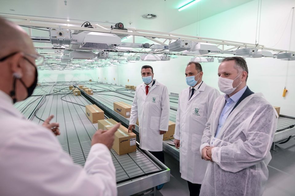 Zaev again announces marijuana legalization move that would benefit his family businesses