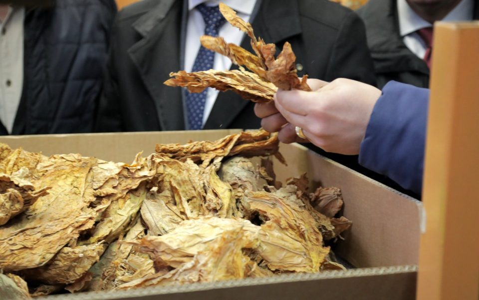 Live: Tobacco farmers in Prilep stage protest