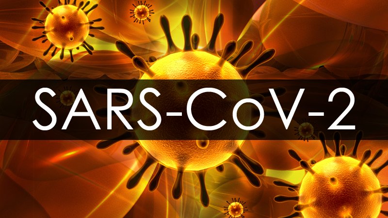 Macedonia detects first case of new coronavirus strain