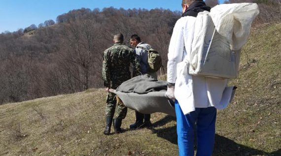 Rescue worker to be held responsible for the case of rescuing the Kratovo shepherd