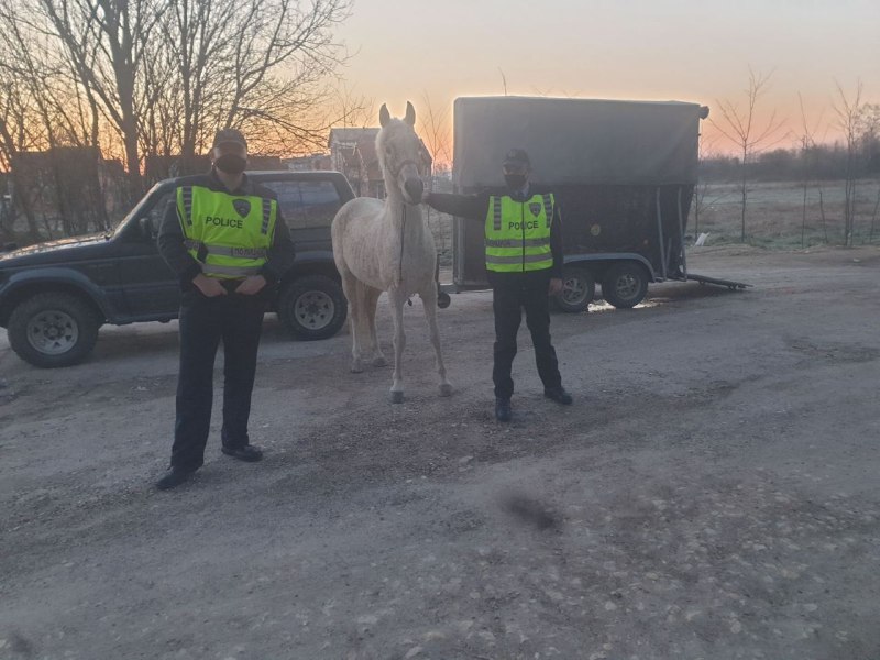 Police retrieves valuable horse stolen from a stable near Skopje