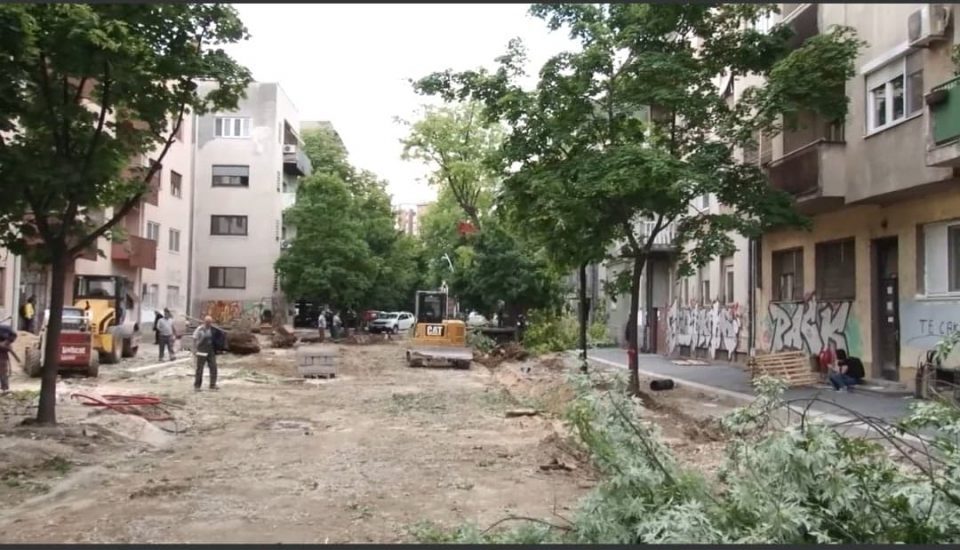 Green groups plan protest after the “massacre” of trees in downtown Skopje