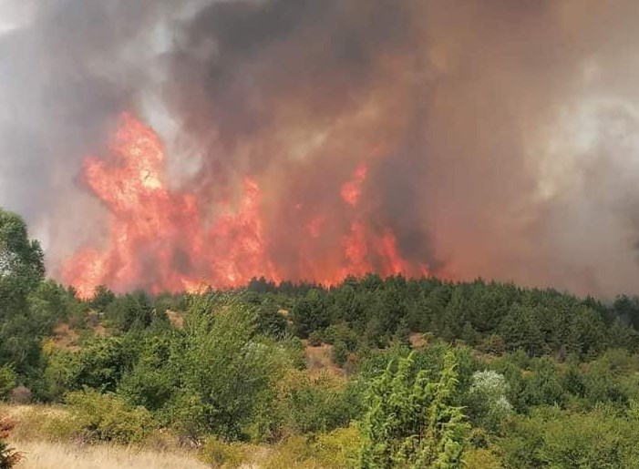 The largest active wildfires in the country are those in Delcevo and Pehcevo