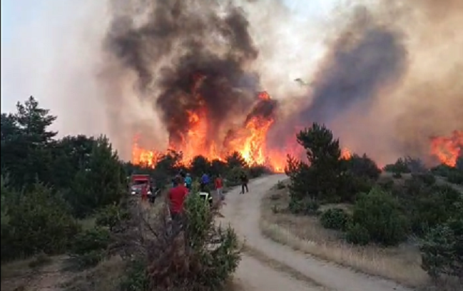 Fires near Raovikj, Bukovikj still active, Krushje, Toplica fires tamed