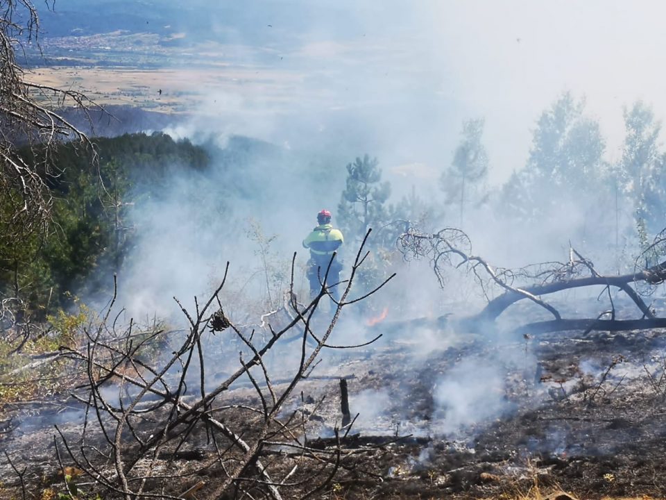 Three active wildfires in Saraj, Demir Kapija and Debar