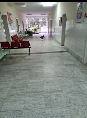 Scenes from Kratovo: A hospital from Hell