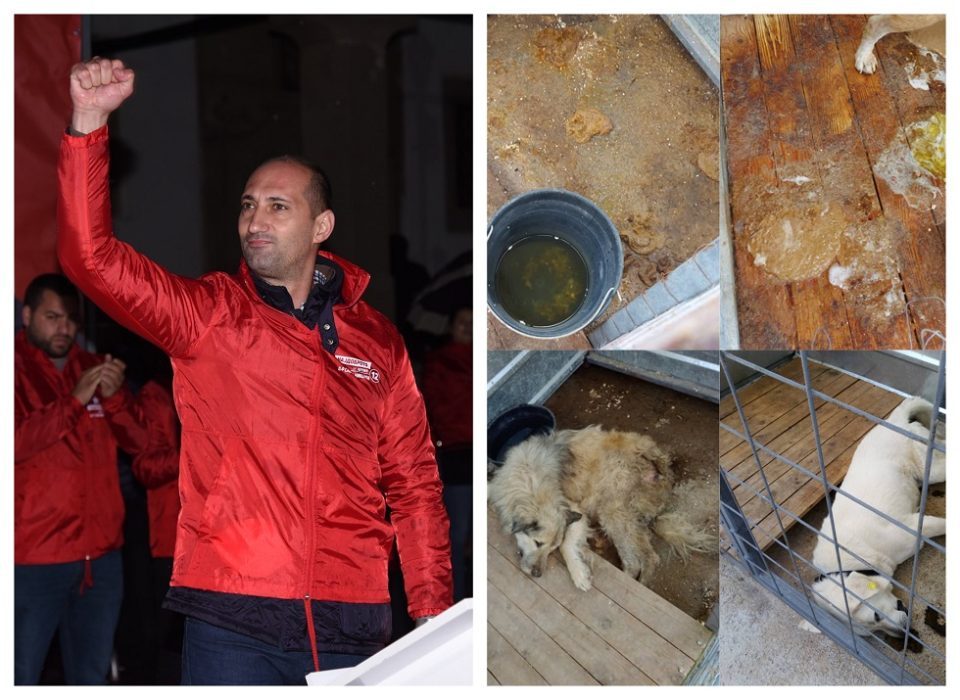 Animal rights activists outraged by Stip Mayor Nikolov