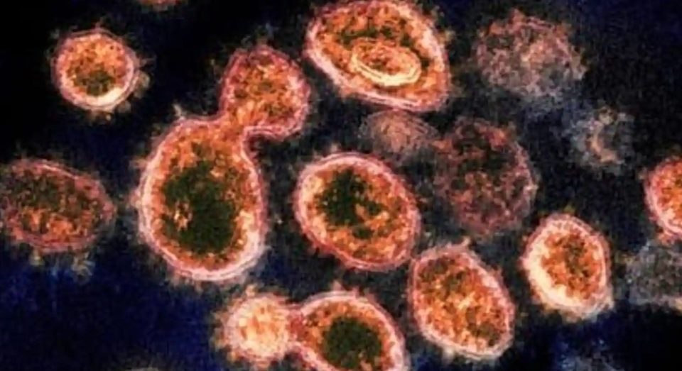 Worries grow over the Omicron strain of the coronavirus