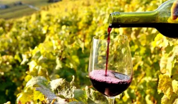Greek wineries got a French wine fair to remove the label “Macedonian wines”
