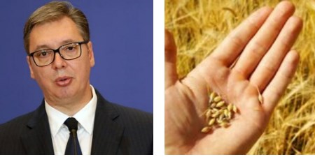 Vucic: The entire region turned to Serbia, is asking us for grain