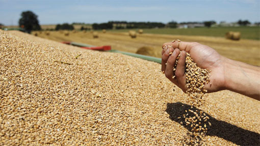 Serbia allows grain exports to Macedonia