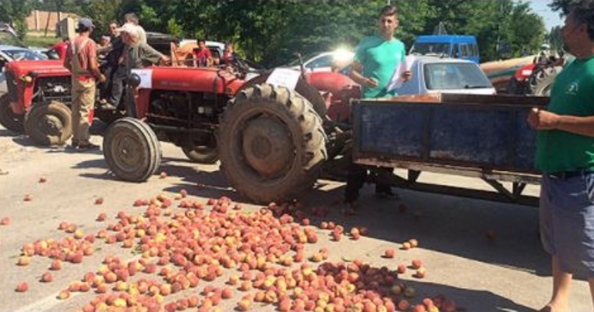 Prespa fruit farmers stage protest