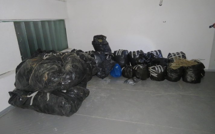 Police displays nearly a ton of marijuana that was seized in Bitola and Kavadarci