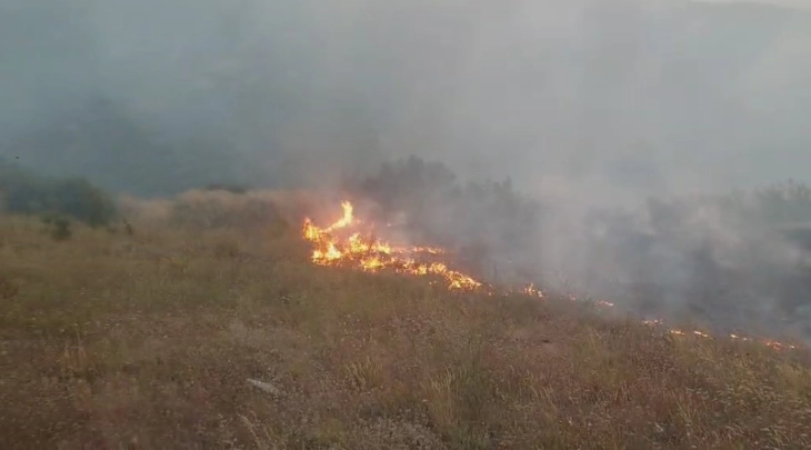 Forest fire threatens the Bogdanci wind power park