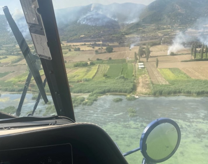 Wildfire near Dojran localized with 50 tones of water