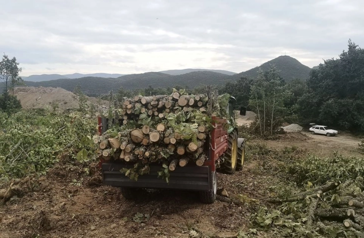 Illegal loggers arrested near Tetovo