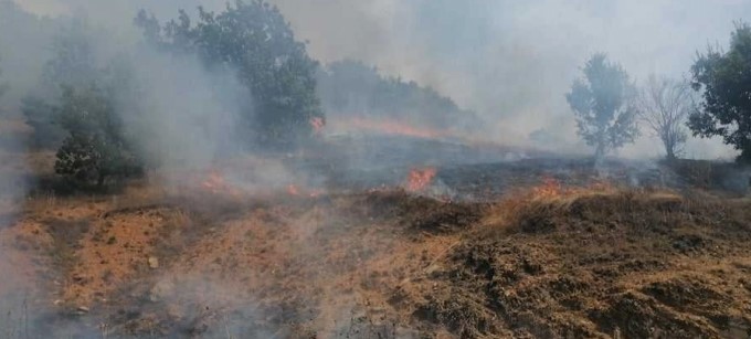Forest fire near Makedonski Brod