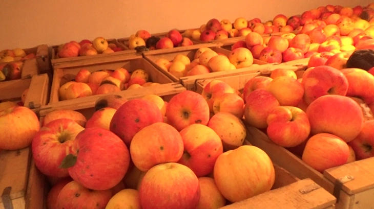 In 2022, Serbia imported approximately 24 tons of apples from  Macedonia