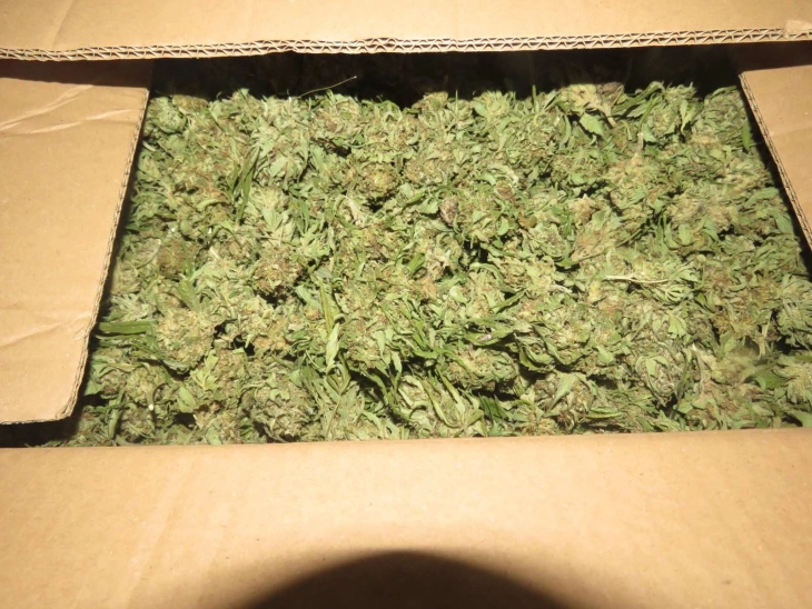 More than 550 kg of marijuana were taken from a medical marijuana factory
