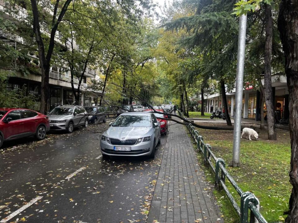 In Kapistec, a downed tree obstructed a street and caused damage to cars