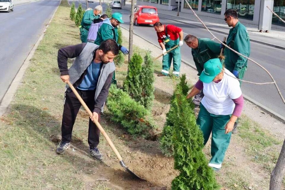 350 saplings were planted on Boulevard Kiro Gligorov