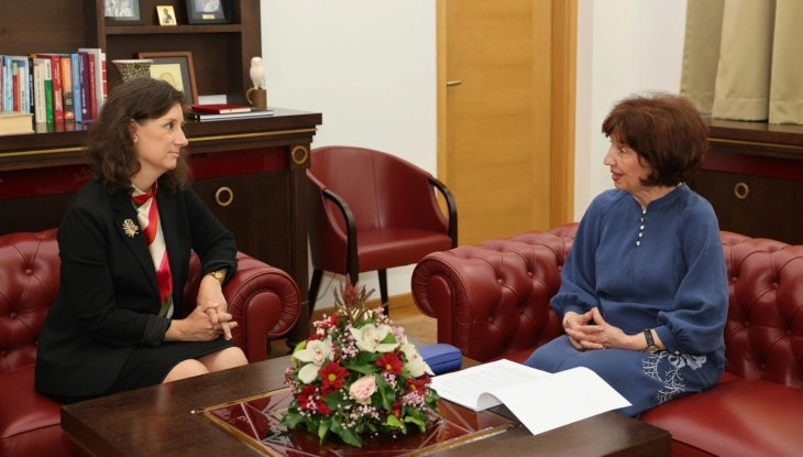 Ambassador Larsson-Jain is received by President Siljanovska-Davkova