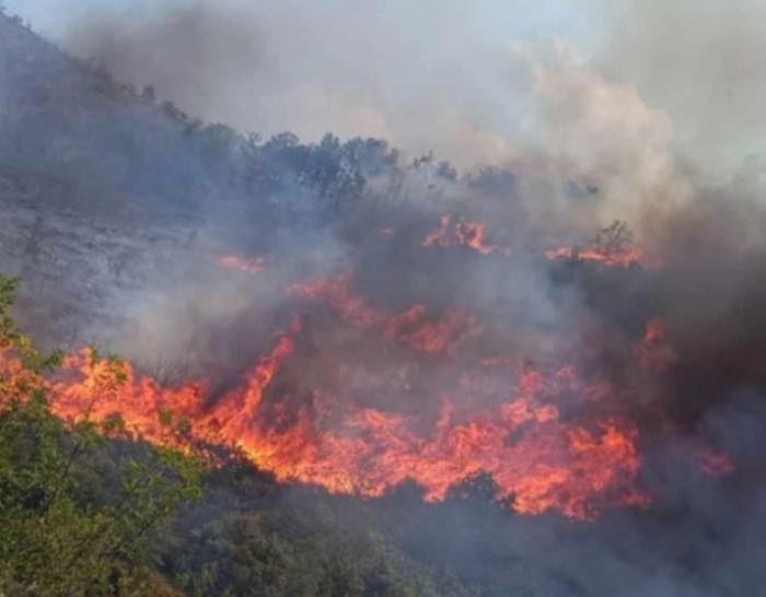 Forest fire is spreading toward the Stip military range