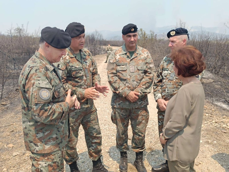 Visits by Siljanovska Davkova to army personnel fighting fires close to Negotino