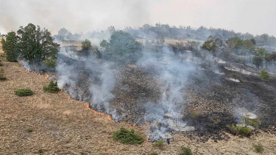 EU sends help to fight forest fires in Macedonia