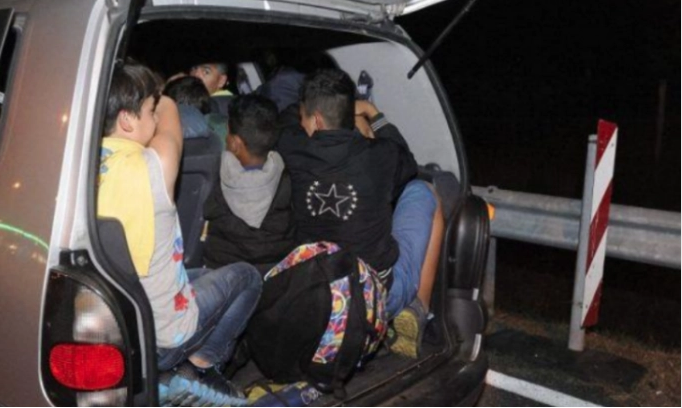 11 migrants from Syria and Turkey apprehended on the border with Greece