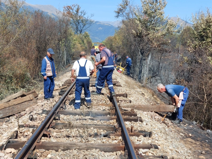 Macedonia, Serbia, Hungary and Greece will sign a joint declaration about the Balkan fast railroad line