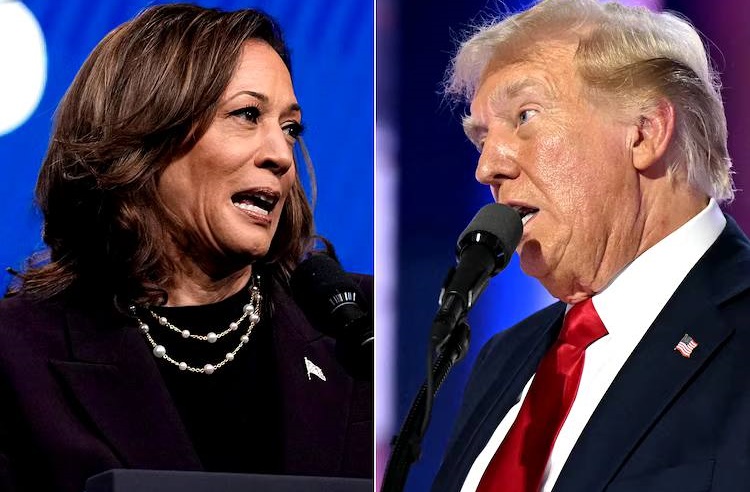 Kamala Harris conceded defeat, congratulated to President Trump